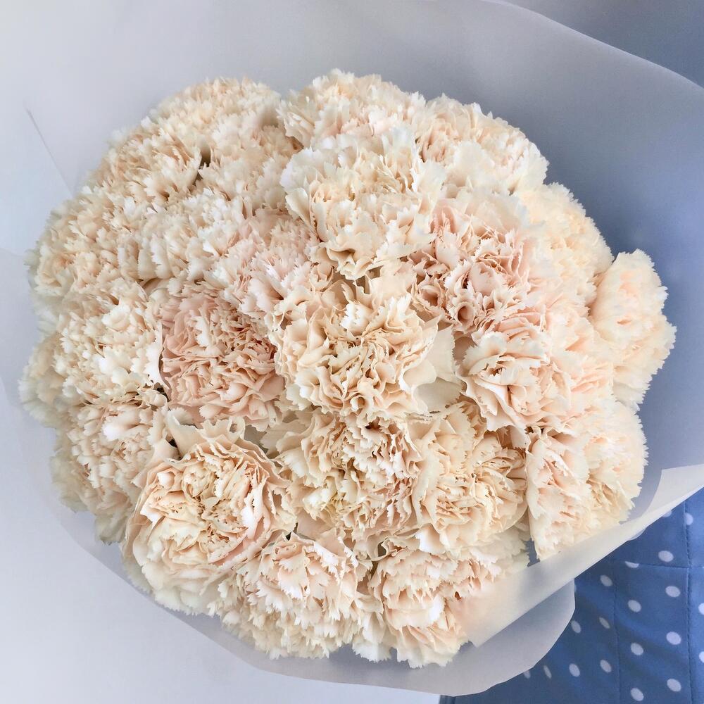 Монобукет 6.3 гвоздика Брют